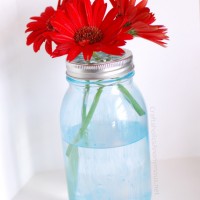 blue mason jars